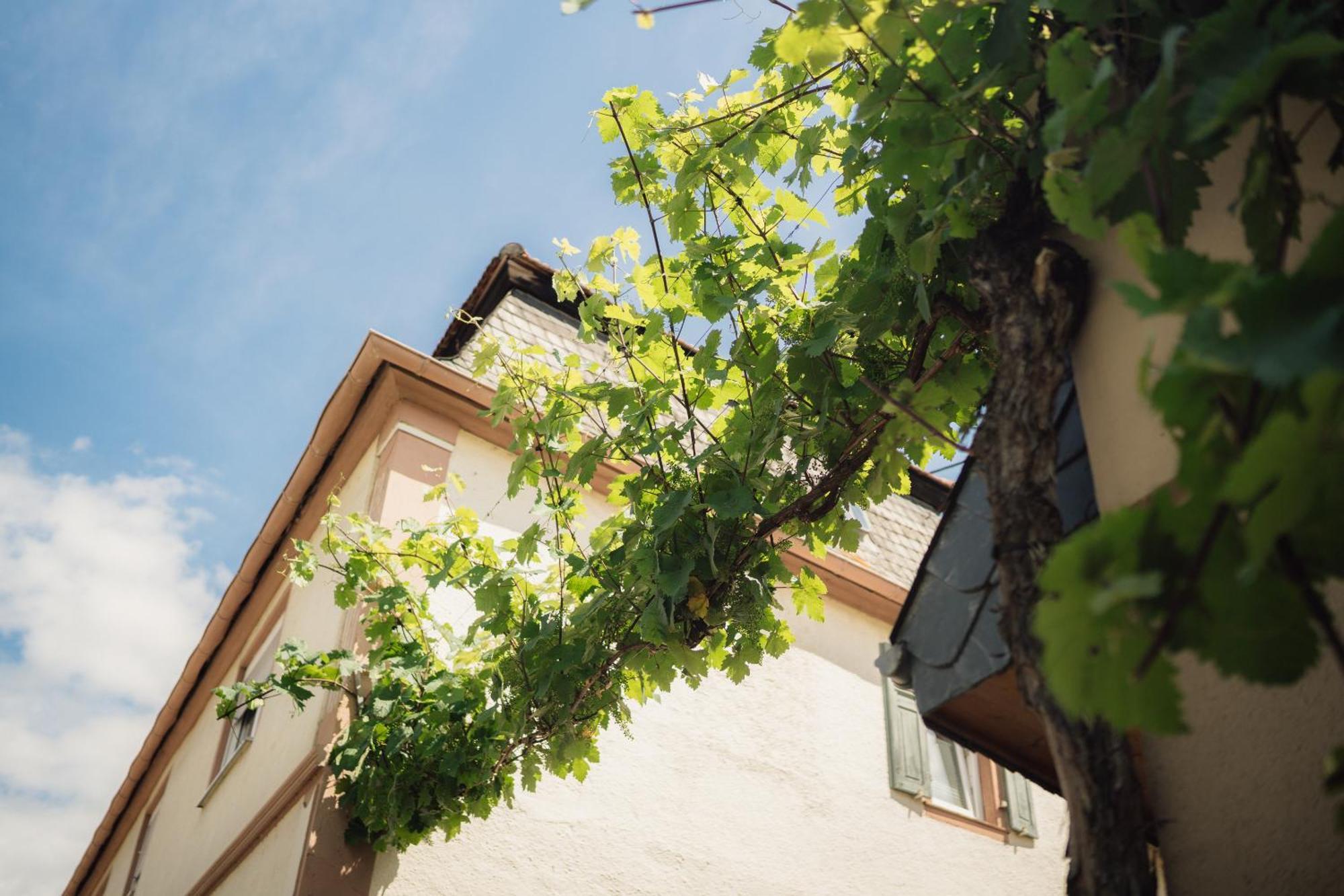Weingut Und Gaestehaus Holger Alt Monzingen Extérieur photo